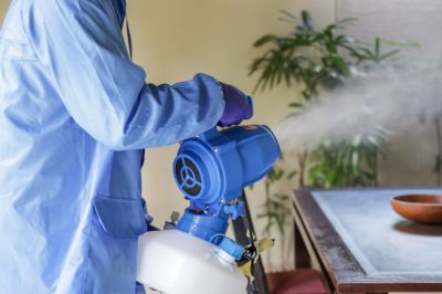 Pest Fumigation Service in Winston Salem, NC