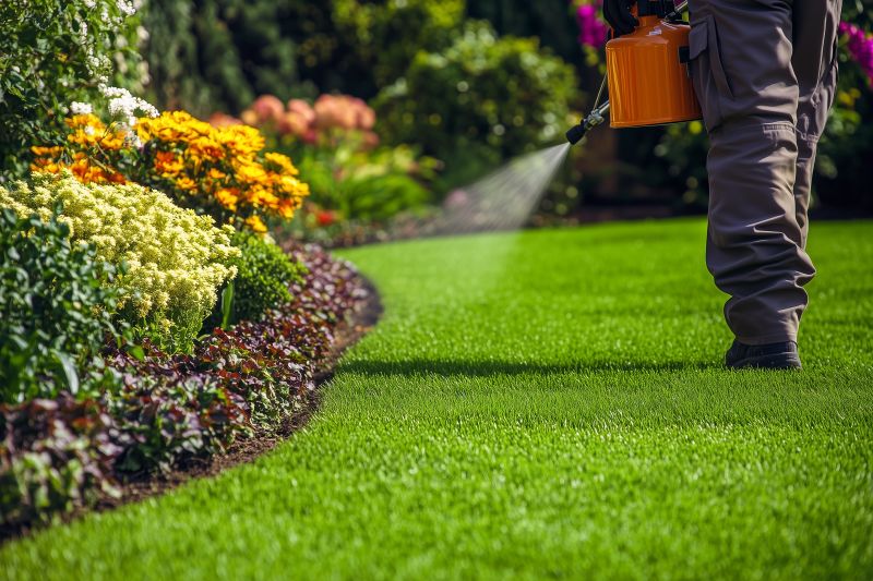 Pest Fumigation Service in Katy, TX