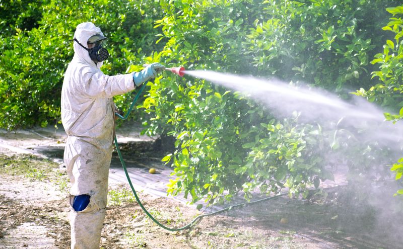 Roach Fumigation in Toledo, OH