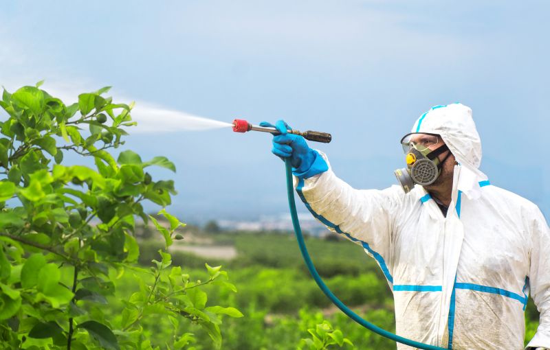 Roach Fumigation in Winston Salem, NC
