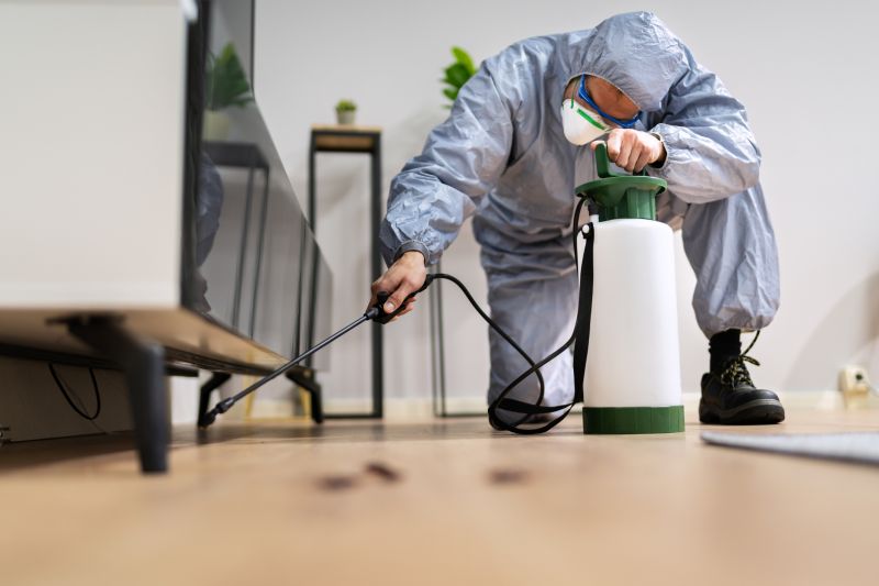 Pest Fumigation Service in Phoenix, AZ