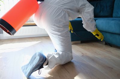 Roach Fumigation in Columbus, OH