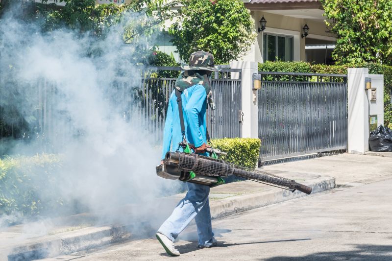 Spider Fumigation Service in Long Island, NY