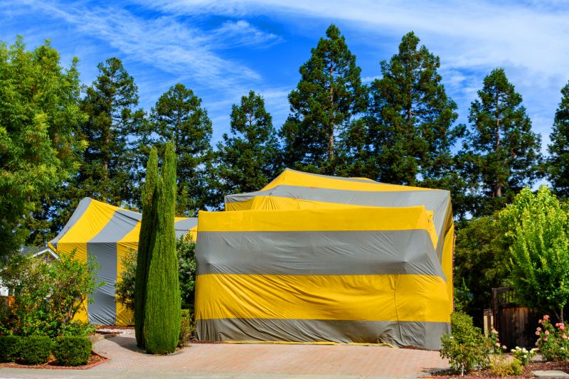 Termite Tenting in Bellingham, WA
