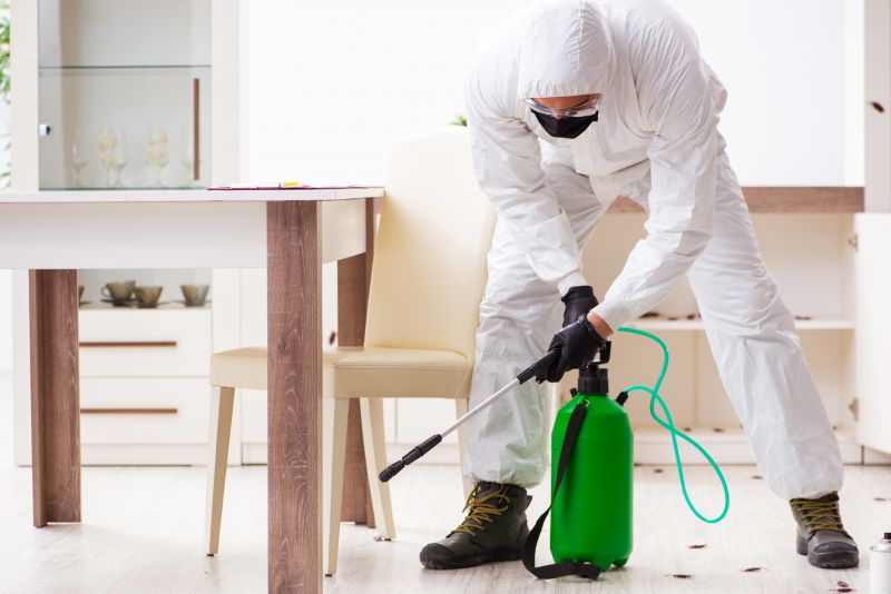 Pest Control Companies